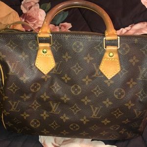 Louis Vuitton Speedy Handbag